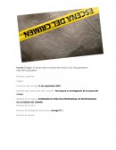 SEMINARIO DE PRÁCTICA PROFESIONAL DE INVESTIGACION DE LA ESCENA DEL CRIMEN