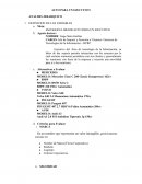 AUTO PARA UN EJECUTIVO ANALISIS JERARQUICO