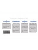 LINEA DE TIEMPO DE LA UNIVERSIDAD CENTRAL DEL ECUADOR