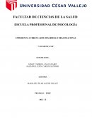 EXPERIENCIA CURRICULAR DE DESARROLLO ORGANIZACIONAL