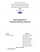 Histología del sistema digestivo II. Ross Altas de Histología