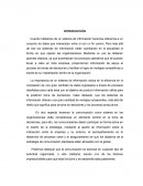 LOS SISTEMAS DE INFORMACION