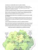 Fundamentos de la Auditoria