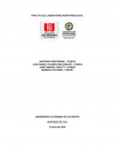 PRÁCTICA DE LABORATORIO MORFOFISIOLOGIA