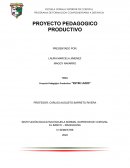 PROYECTO PEDAGOGICO PRODUCTIVO