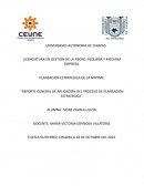 REPORTE GENERAL DE APLICACIÓN DEL PROCESO DE PLANEACION ESTRATEGICA
