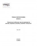 Distorsiones de Mercado, tipos de elasticidad de mercado, impuestos, aranceles y subsidios. Producción