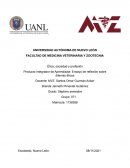 PIA: Ensayo de reflexión sobre dilemas éticos