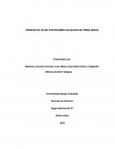 PENSIÓN DE VEJEZ POR RÉGIMEN SOLIDARIO DE PRIMA MEDIA