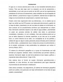 Articulo de opinion N° 6 El agua