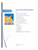 Proyecto de campaña de mkt digital