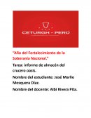 Informe de almacén del crucero oasis