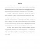 PSICOLOGIA SOCIAL Barras Bravas