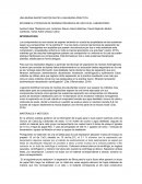 INFORME N.3 TÉCNICAS DE SEPARACIÓN BÁSICA DE USO EN EL LABORATORIO