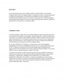 Fallas ocurridas en el Puente Bailey en la transitada Autopista Ramiro Prailé