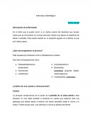 Enfermedades odontológicas