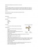 POES Tamizadora (Maquinaria que interviene en el proceso)