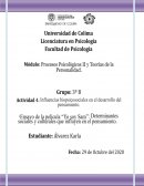 Ensayo de la película “Yo soy Sam”: Determinantes sociales y culturales que influyen en el pensamiento