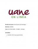 Ensayo argumentativo– Liderazgo