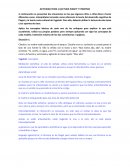 Actividad Lectura Piaget y Vygotski