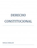 Derecho constitucional como una rama del Derecho