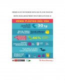 PLAN DE NEGOCIOS DIFÍCIL TRASLADO DE PRODUCTOS EN BOLSAS PLÁSTICAS