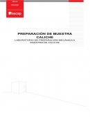 Preparación de muestra caliche