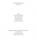 Derechos fundamentales y la accion de tutela