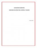 ANATOMÍA EN ESTRUCTURA, CONTROL Y FUNCIÓN