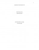 Competencias fundamentales en TIC