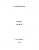 PROYECTO VIAL PALOCABILDO CASABIANCA (TOLIMA)