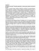 Principios generales e instituciones propias del derecho privado
