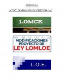 COMO SE ORGANIZA EL PROCESO DE E-A