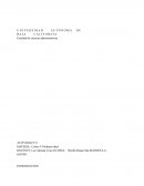 METODOLOGIA 5S Costos Y Productividad