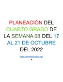 PLANEACIÓN SEMANAL ESPAÑOL