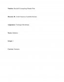 Cuáles son los componentes del LPS