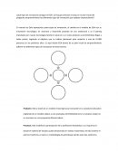 Trabajo practico Producto: EGA