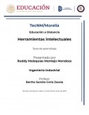 Herramientas intelectuales Tipos de aprendizaje