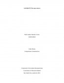 ENSAYO CRÍTICO SOBRE POSTURA RECUCIR JORNADA DE 5 A 4 DIAS