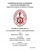 FLUJO RÁPIDAMENTE VARIADO Y GRADUALMENTE VARIADO