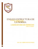 ESTRUCTURA DE LA NORMA