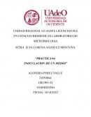 Practica #4: inoculacion de un medio