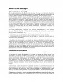 Decifrando el Ensayo como obra literaria