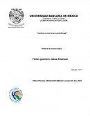 Cartas a una joven psicologa