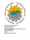 Tecnologías de la información en el área de desarrollo y gestión de software Multiplataforma