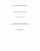 Ensayo del Contador como jefe Financiero