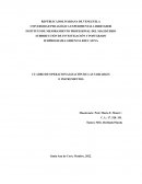CUADRO DE OPERACIONALIZACIÓN DE LAS VARIABLES E INSTRUMENTOS