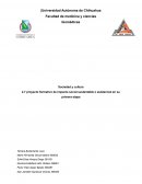 Proyecto formativo de impacto social sustentable o asistencial en su primera etapa