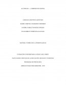 PROGRAMA DE PSICOLOGÍA