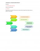 Actividad: ¿En qué escalón estás hoy?